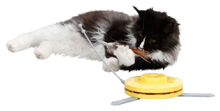 KERBL Katzenspielzeug 2in1 Catch the TailFeather